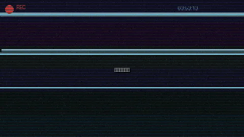周末随拍记录 - 啄木鸟电影系列 原创视频